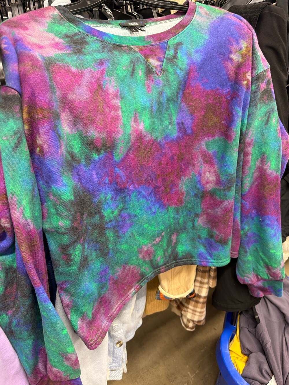 PAIGE - Picture 2 of 5